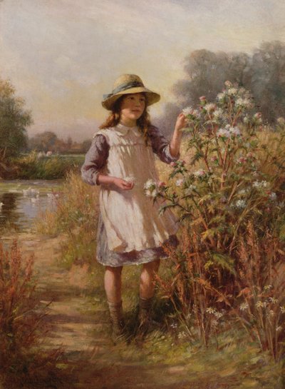 Unknown Image by William Kay Blacklock